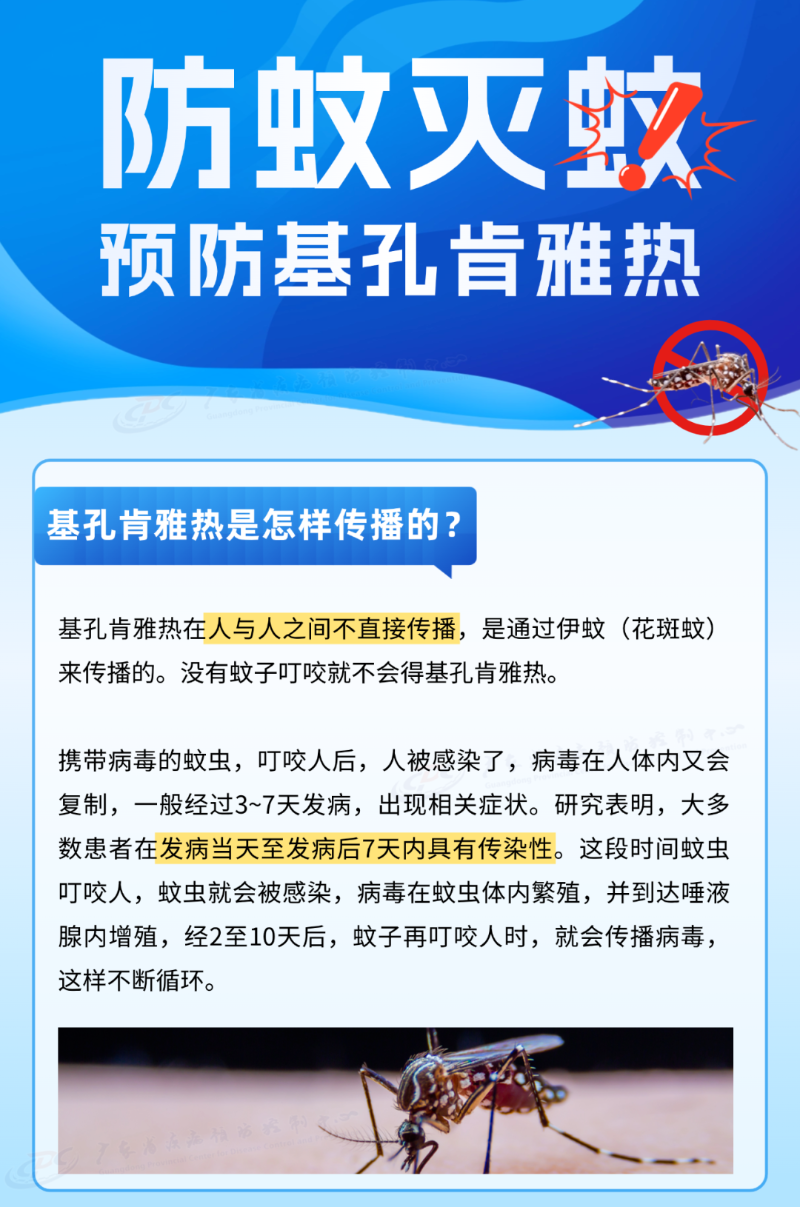 627538ad41cd8008938f.png